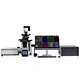 Laser Scanning Confocal Microscopy